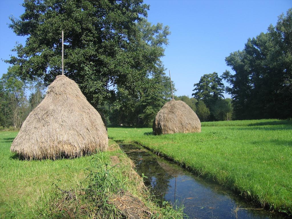 Spreewald Pension Tannenwinkel Lübbenau Exterior foto